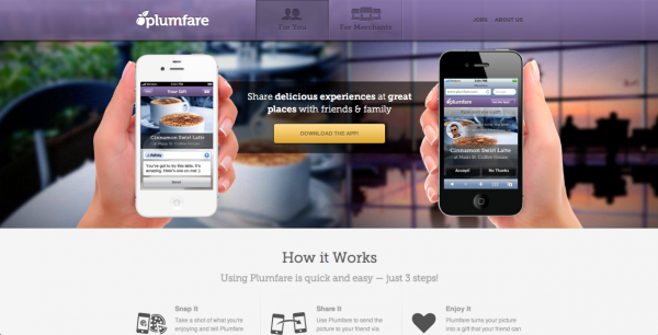 Funcionamiento de Plumfare, según su página web.