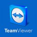 TeamViewer Logo