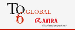 Team of 6 Global logo