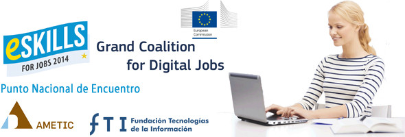 eSkills for jobs big