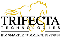 Trifecta-Logo-IBM-Smarter-Commerce