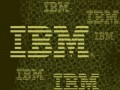 IBM