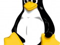 linux XL avira
