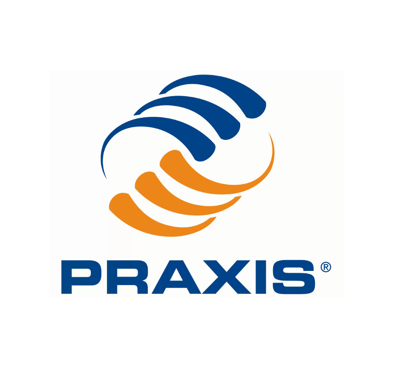 Praxis: “Ayudamos a las empresas a hacer un uso adecuado de la tecnología”